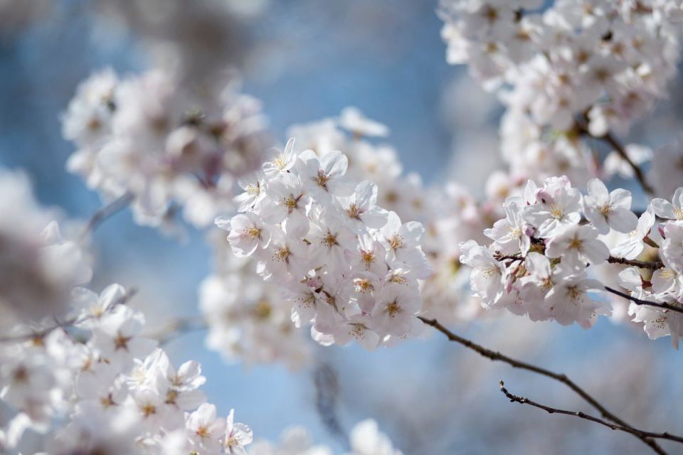 La fusion de la commune de sion et des Agettes